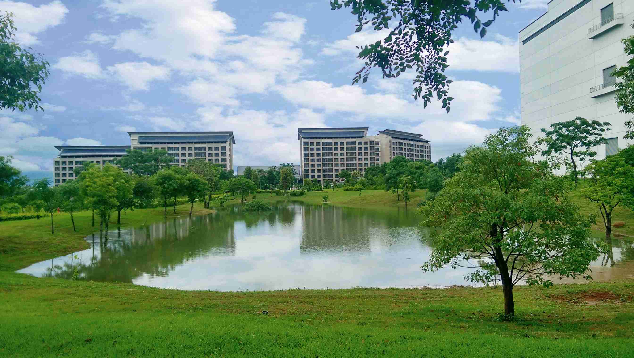 传奇国际响应国际倡议生物多样性趋势，，，，首次发布TNFD自然相关财务揭露报告书，，擘划及开展传奇国际生物多样性政策之承诺，，，，逐步迈向与自然和谐共生